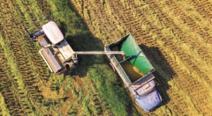 武牢守住粮食平安底线