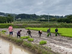 为了提高产量和收益的“帮推器”